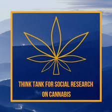 Think Tank of Social Research on cannabis logo it is on a blue and gold color scheme 